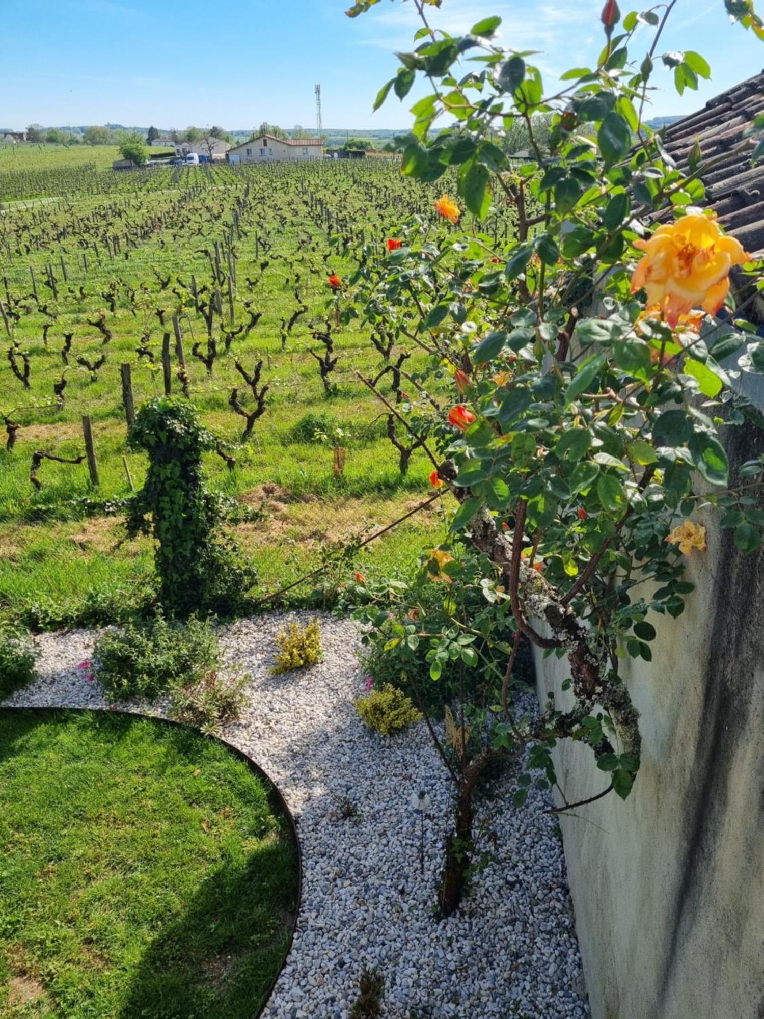 L'Esprit Du 24 Bed & Breakfast Rouffignac-de-Sigoules Eksteriør bilde